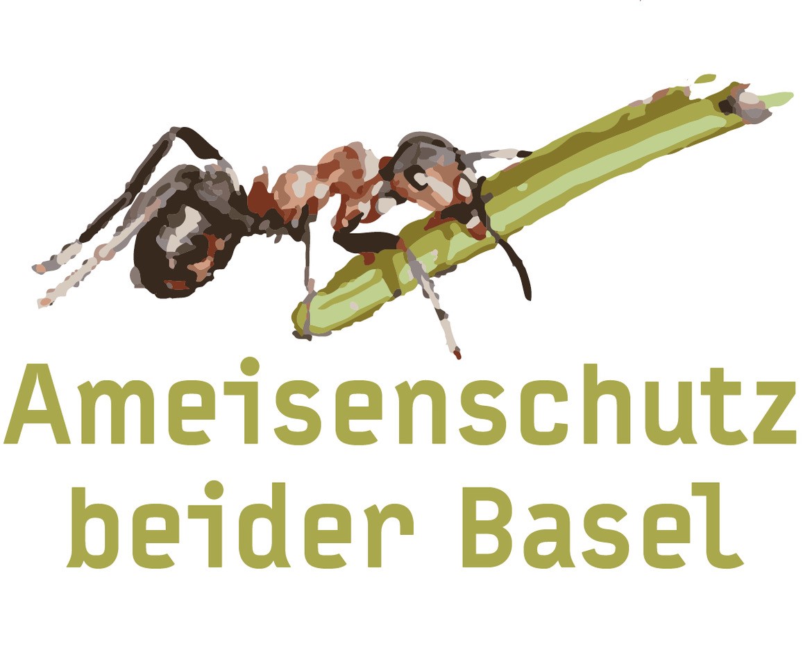 Ameisenschutz beider Basel
