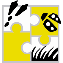 maddalena & associati sagl