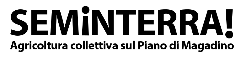 Cooperativa Seminterra